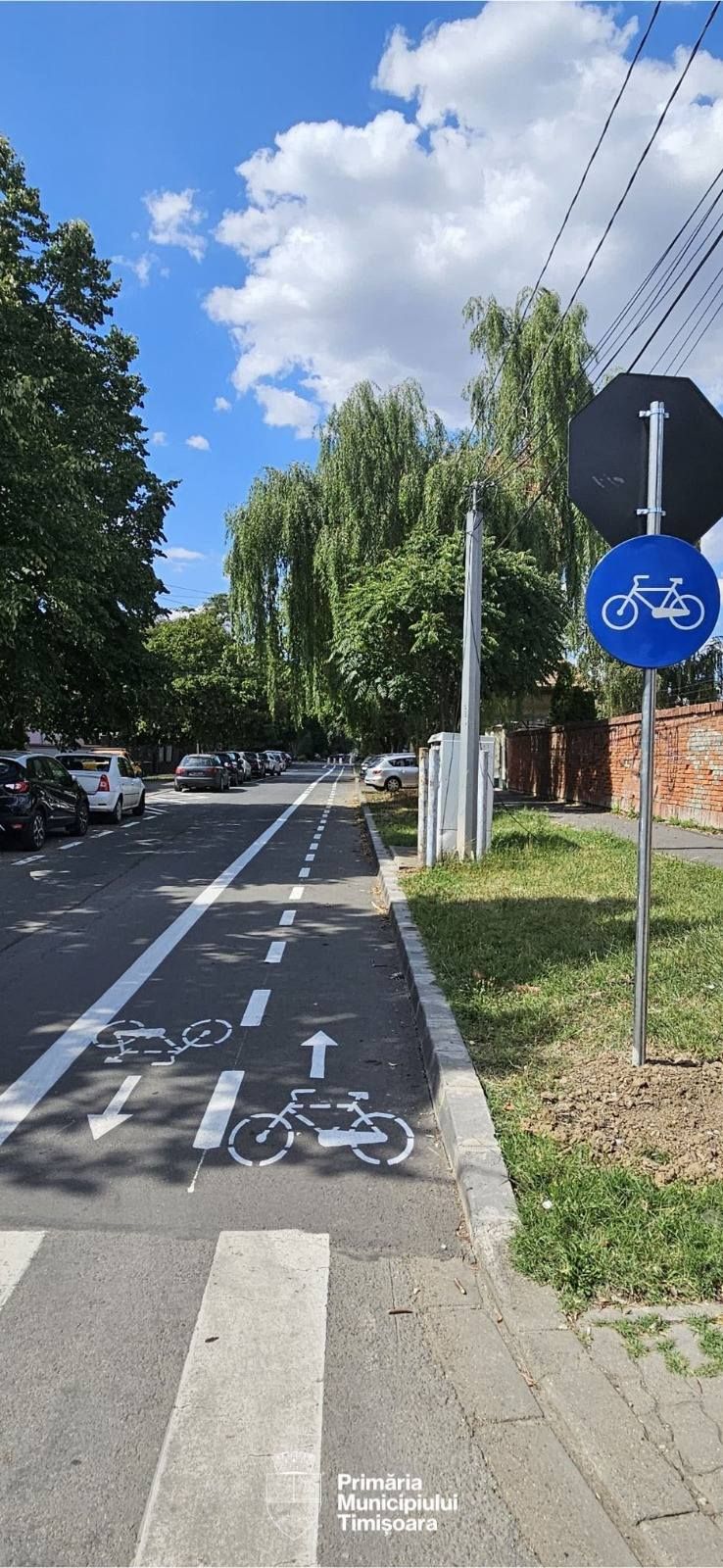 528174149 1358486209618242 5233526900832256256 N