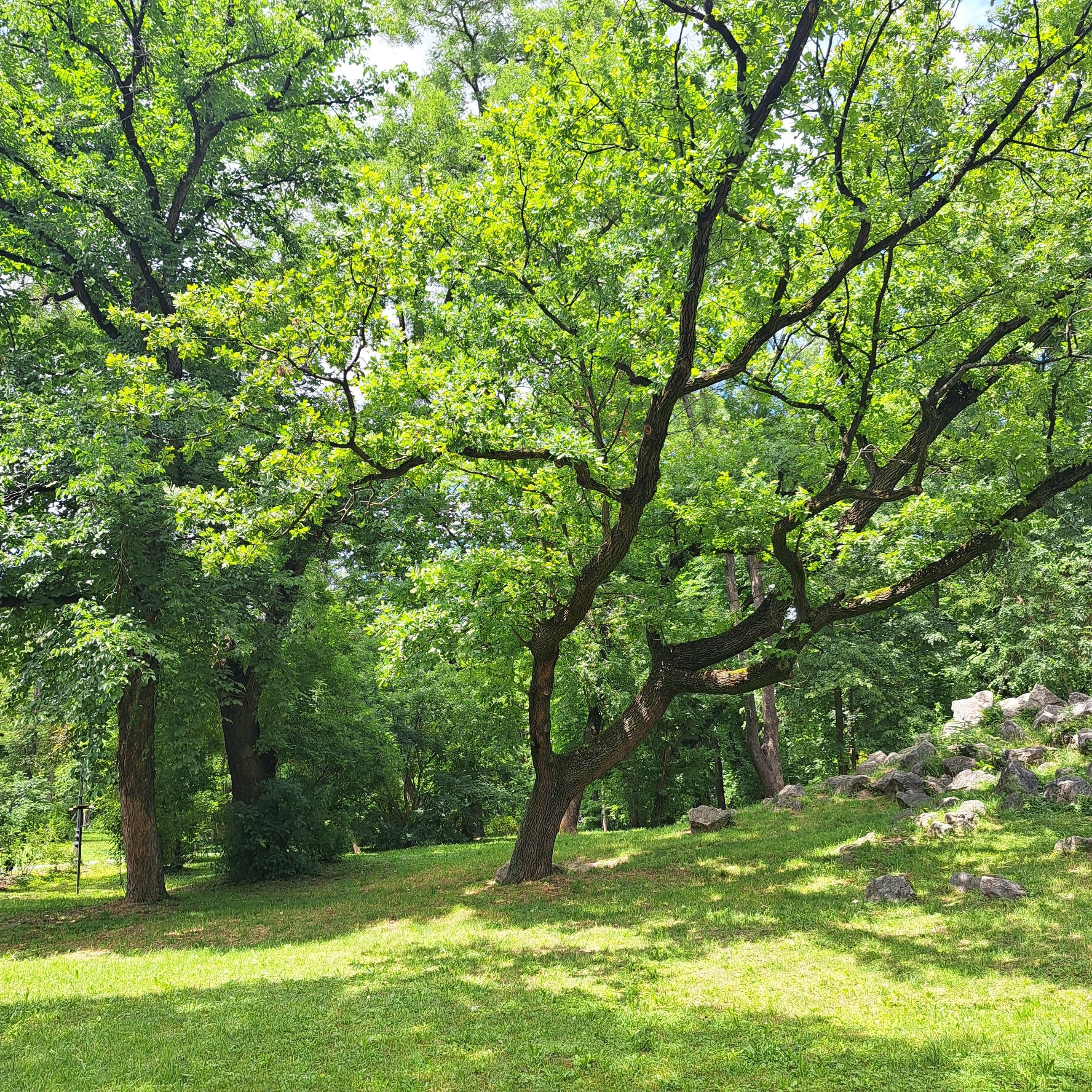 Parcul Botanic 4